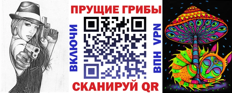 Псилоцибиновые грибы мухоморы  mega ONION  Тихорецк  где можно купить наркотик 
